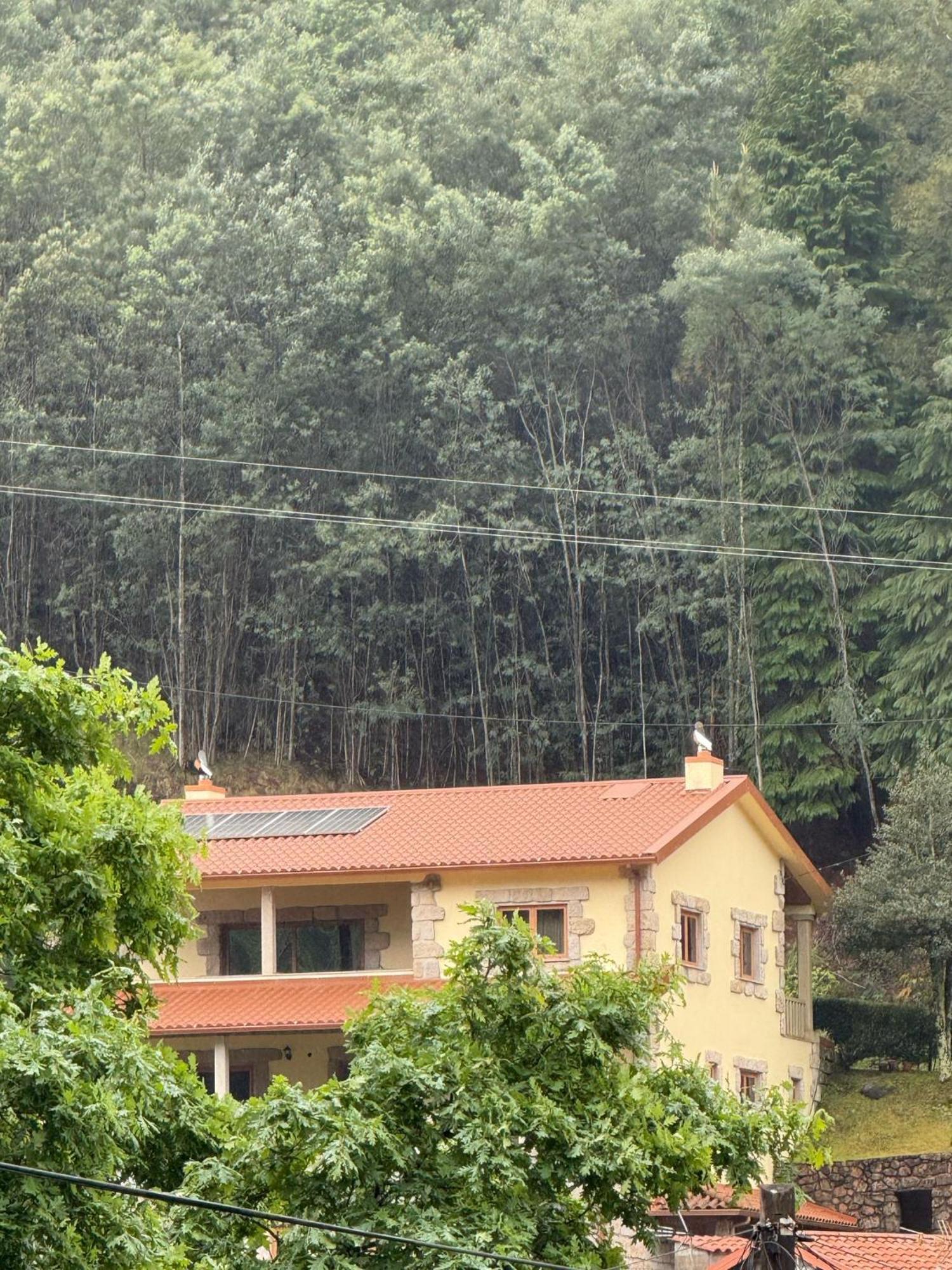 Casa Do Pedrogo Hotell Geres Eksteriør bilde